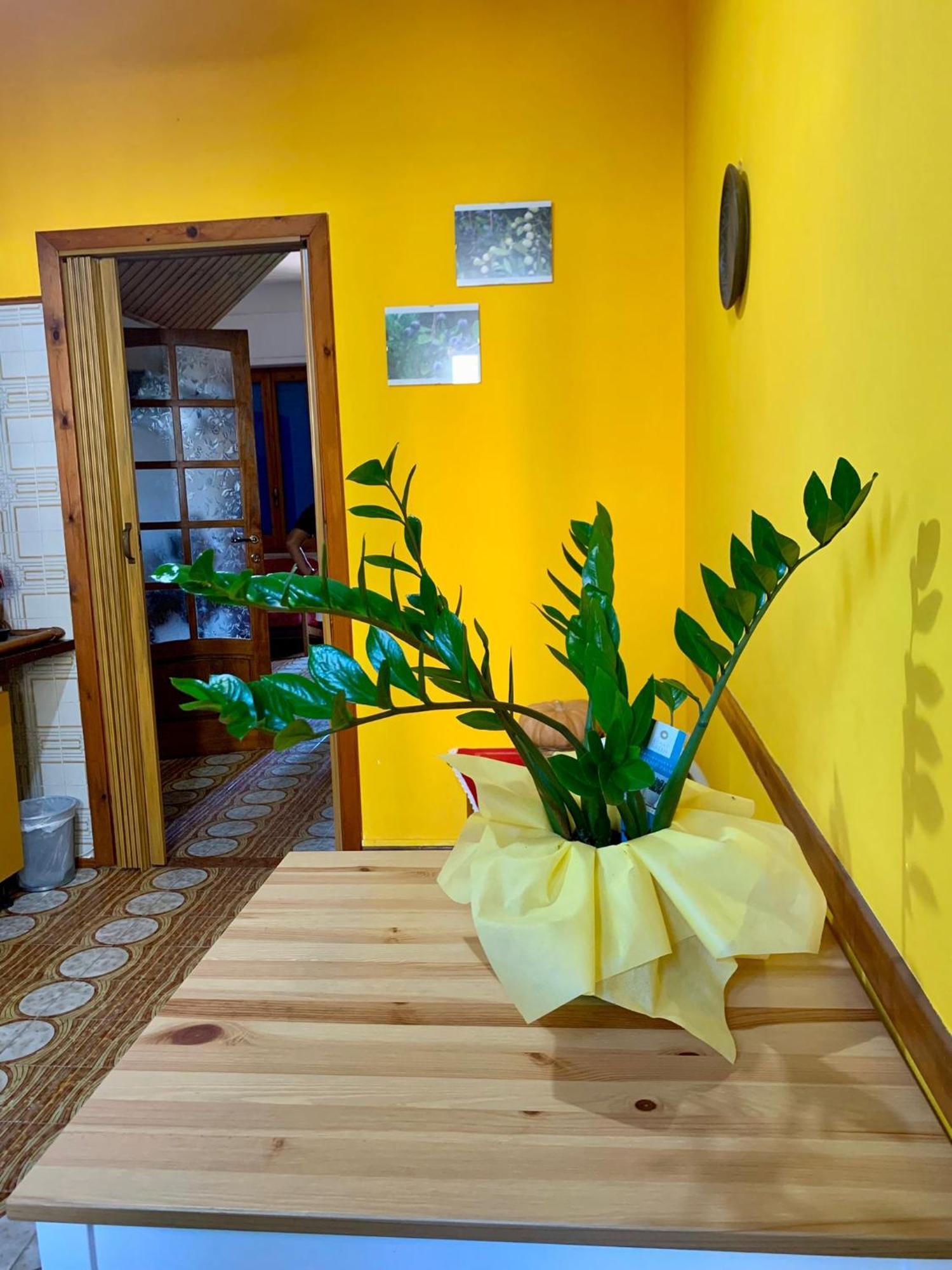 B & B Il Mirto 2 ซานตันตีโอโก ภายนอก รูปภาพ